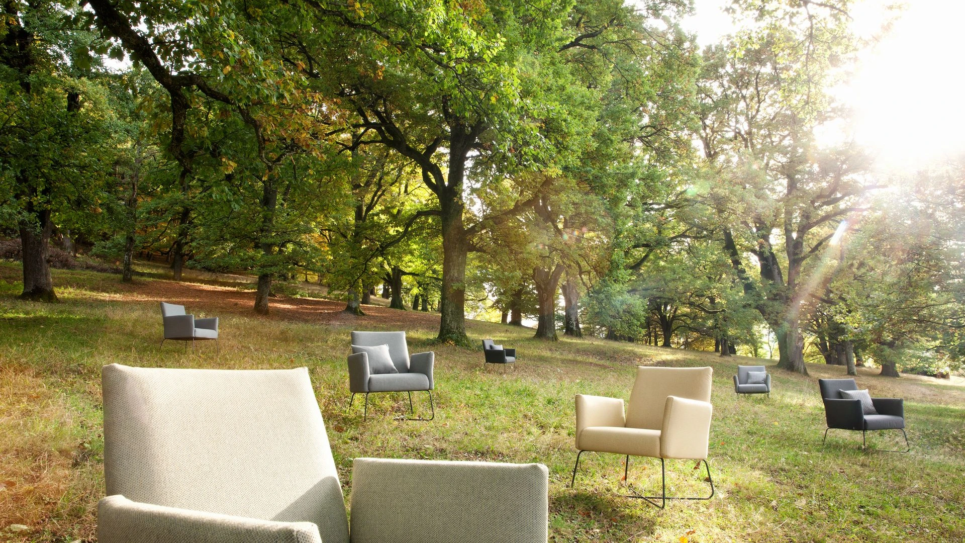 Exklusive Kalos Lounge Sessel von Fischer Möbel in einer herbstlichen Waldlandschaft. Skulpturale Outdoor-Sessel mit filigranem Gestell als Design-Highlight im Freien.